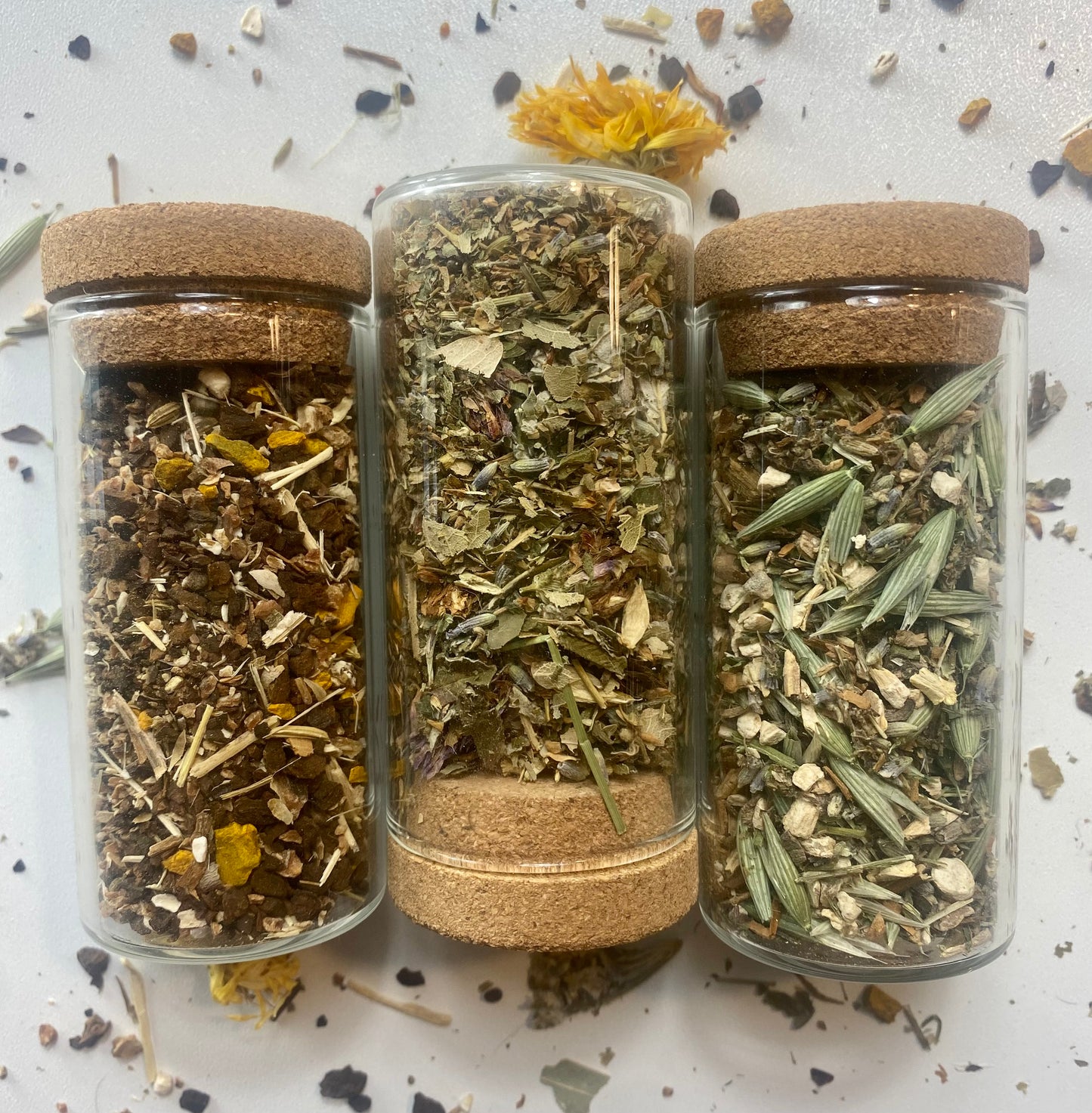 Herbal Routine: Nervous System Support Bundle