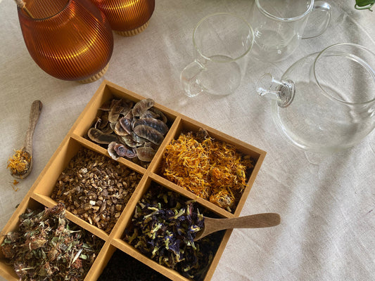 Top Herbs for Brain Health: Natural Ways to Support Memory and Prevent Cognitive Decline