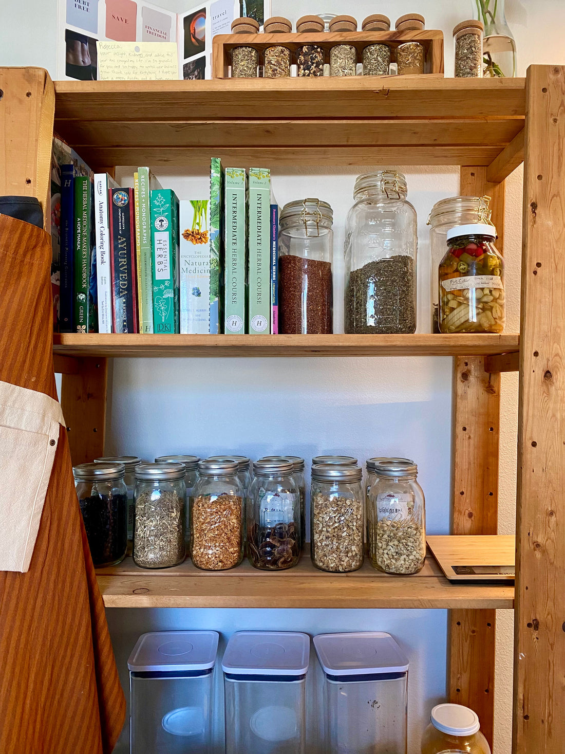 10 Nervines You Should Know: Herbs to Support Calm, Focus, and Stress Resilience
