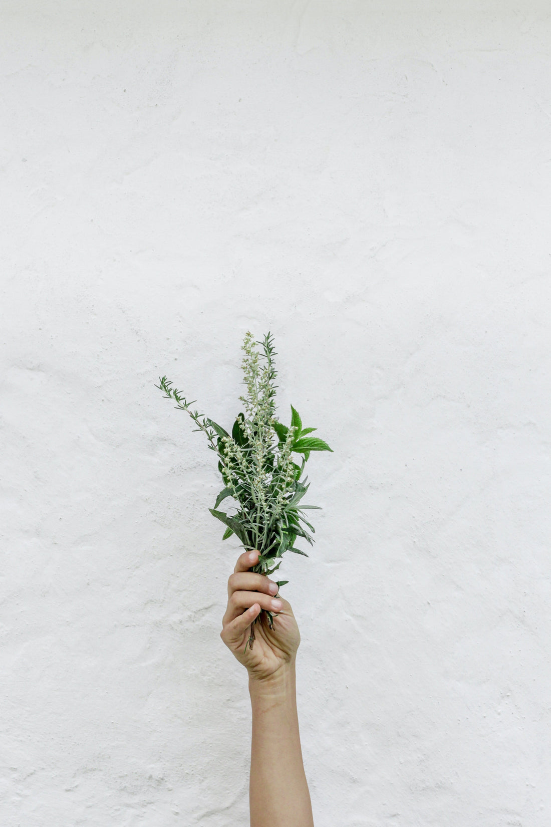 Herbalist Favorites for Dreamy Nights: Beyond Grocery-Store Chamomile