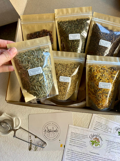 Beginner Herbalist Kit (New!)